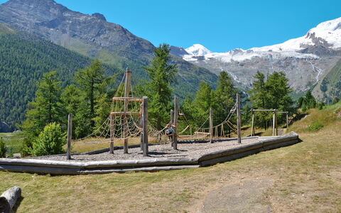 Saas-Fee 866: Sky, Mountain, Ecoregion, Plant, Natural Landscape, Tree, Highland, Land Lot, Grass, Mountainous Landforms