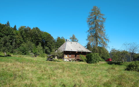 Bistenhof: Natural Landscape, Property, House, Tree, Wilderness, Rural Area, Grassland, Meadow, Cottage, Land Lot