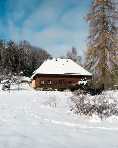 Bistenhof