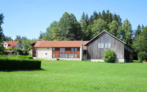 Mader: Plant, Sky, Building, Property, Tree, Natural Landscape, Window, Land Lot, House, Grass