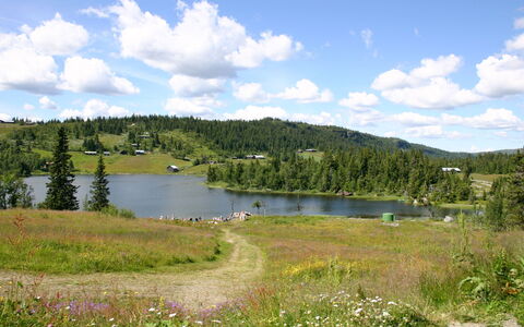 Gjefselykkja: Cloud, Water, Sky, Plant, Water Resources, Plant Community, Flower, Ecoregion, Natural Landscape, Mountain
