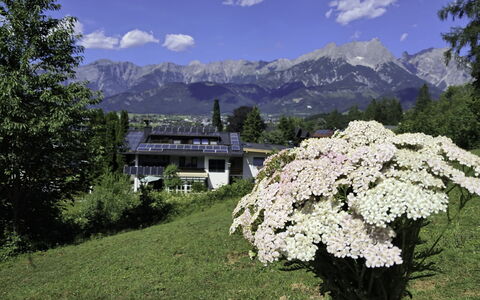 Saalfelden am Steinernen Meer 613: Mountainous Landforms, Flower, Mountain, Mountain Range, Hill Station, Garden, Alps, Ridge, Valley, Summit