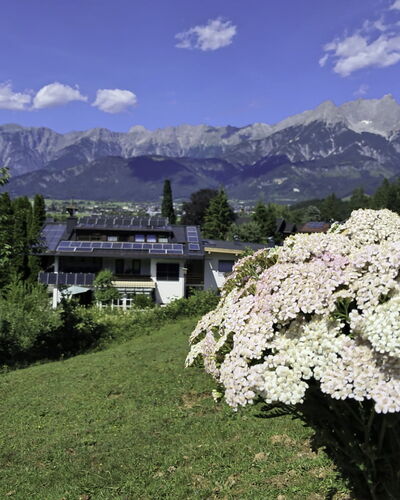 Saalfelden am Steinernen Meer 613
