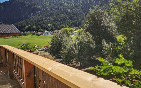 Kainer: Plant, Mountain, Ecoregion, Sky, Natural Landscape, Wood, Tree, Biome, Grass, Slope