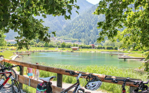 Penz: Bicycle, Wheel, Water, Plant, Bicycle Wheel