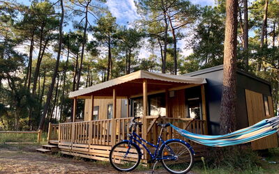Accommodation:&nbsp;Premium Cocoon 649.3