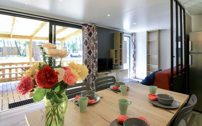 Accommodation:&nbsp;Premium Cocoon 649.3