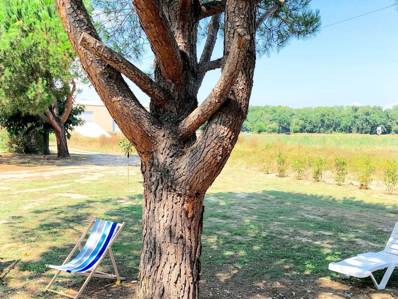Campo Vecchio (Ghi308)