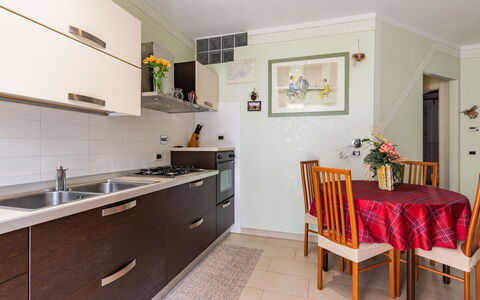 Cristina: Cabinetry, Countertop, Furniture, Table, Sink, Tap, Building, Plant, Houseplant, Chair