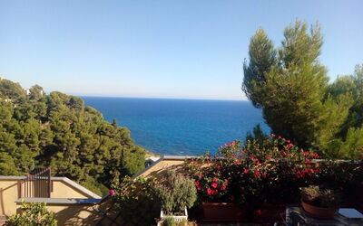 Bouganville (Slr109)