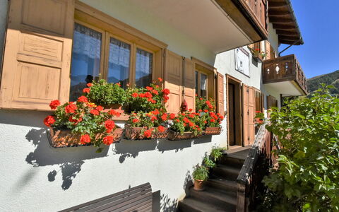 Livigno 695: Plant, Flower, Building, Property, Window, Flowerpot, Leaf, Wood, Orange, House