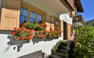 Livigno 695: Plant, Flower, Building, Property, Window, Flowerpot, Leaf, Wood, Orange, House
