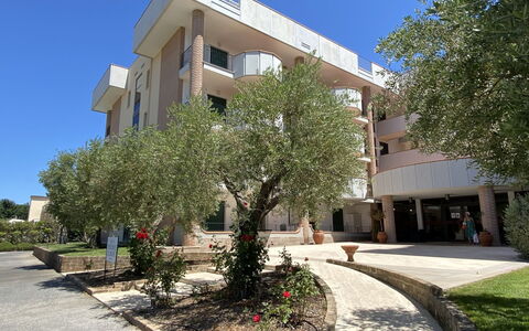 San Vincenzo 651: Plant, Building, Sky, Property, Daytime, Window, Tree, Architecture, Urban Design, Shade