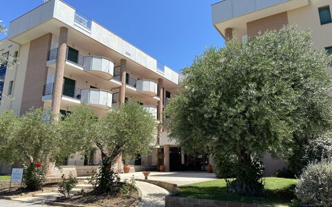 San Vincenzo 651: Plant, Sky, Building, Daytime, Window, Urban Design, Tree, Vegetation, Land Lot, Condominium