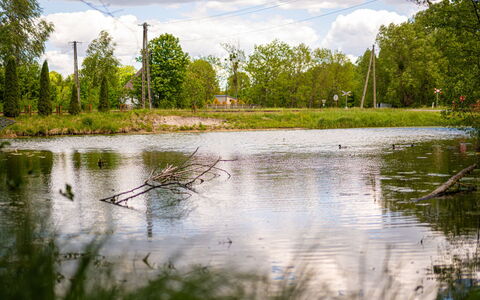 Zatylówka Dom Na Wyspie: Water, Water Resources, Green, Body Of Water, Nature, Tree, Natural Environment, Natural Landscape, Vegetation