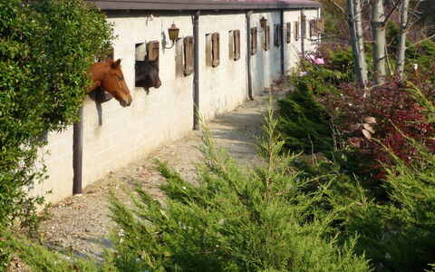 La Bertolina: Plant, Building, Window, Tree, Vegetation, Land Lot, House, Grass, Shrub, Groundcover