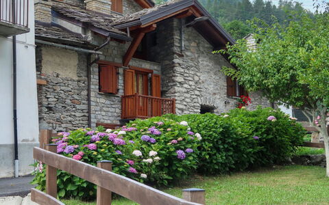 Ivan: Flower, Plant, Building, Property, Window, House, Tree, Sky, Wood, Cottage