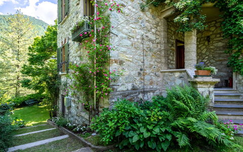 Villa Biino: Plant, Property, Building, Window, Sky, Green, Cloud, Vegetation, Flower, Biome