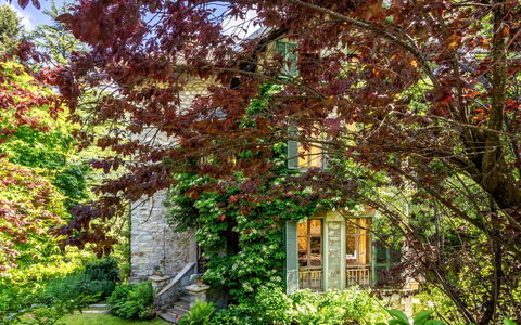 Villa Biino: Plant, Property, Window, Natural Landscape, Tree, Twig, Trunk, Grass, Deciduous