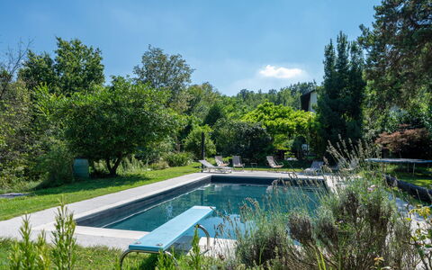 Carla: Water, Plant, Sky, Water Resources, Plant Community, Cloud, Natural Landscape, Azure, Tree, Swimming Pool