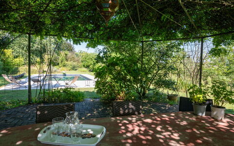 Carla: Plant, Chair, Shade, Tree, Flowerpot, Outdoor Furniture, Grass, Leisure, Table, Landscape