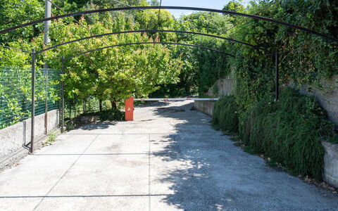 Degli Aranci (Imp385): Vegetation, Green, Tree, Walkway, Public Space, Leaf, Architecture, Botany, Sidewalk, Road Surface