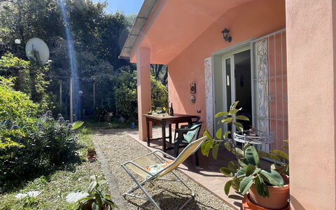Casa dei Nonni (Imp425): Plant, Property, Flowerpot, Building, Houseplant, Window, Shade, Sky, Tree, Residential Area