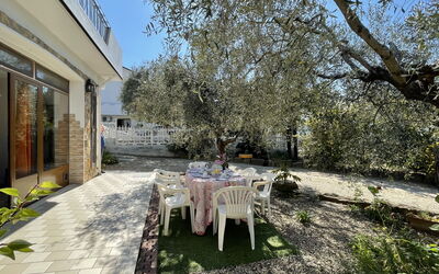 Accommodation:&nbsp;Olivo (Pgi128) 624.3