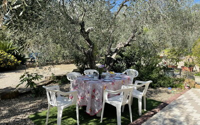 Poggi 624: Plant, Water, Property, Furniture, Building, Table, Window, Azure, Chair, Interior Design