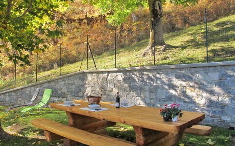 La Tana del Lupo: Plant, Table, Furniture, Plant Community, Nature, Outdoor Table, Leaf, Tree, Wood, Picnic Table
