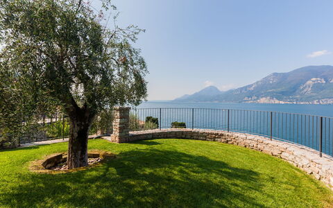Brenzone 699: Sky, Plant, Property, Water, Fence, Natural Landscape, Land Lot, Tree, Grass, Lake