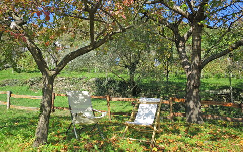 Baita Anita: Plant, Plant Community, Tree, Botany, Natural Landscape, Flower, Land Lot, Grass, Deciduous, Groundcover