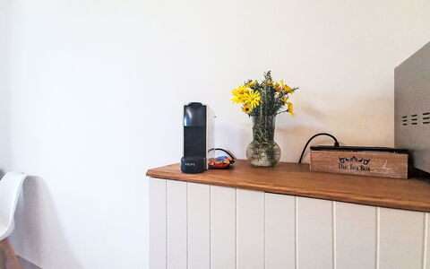 Rêve D'Or: Wood, Furniture, Interior Design, Room, Flowerpot, Shelving, Houseplant, Picture Frame, Hardwood, Wood Stain