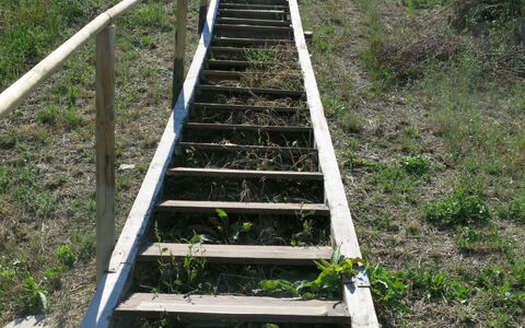 Roseto degli Abruzzi 620: Stairs, Walkway, Grass, Tree, Boardwalk, Plant Community, Plant, Nonbuilding Structure