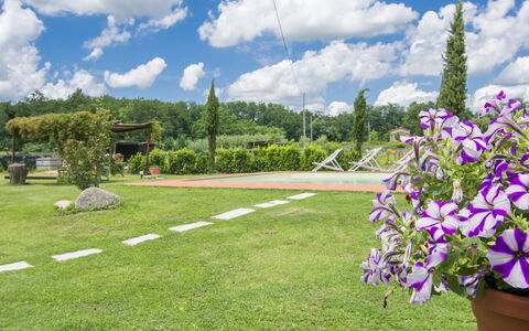 Daussiè: Garden, Grass, Daytime, Sky, Lawn, Flower, Plant, Botany, Spring, Tree