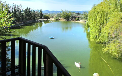 Certaldo 653: Water, Nature, Natural Landscape, Water Resources, Lake, Green, Nature Reserve, Natural Environment, Pond, River