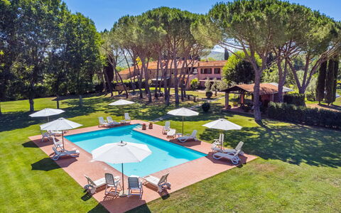 Suvereto 649: Plant, Sky, Tree, Swimming Pool, Azure, Building, Shade, Outdoor Furniture, Body Of Water, Leisure