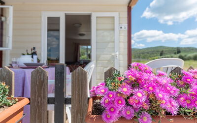 Accommodation:&nbsp;I Girasoli 648.2