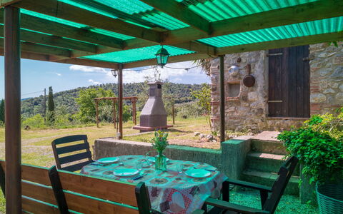 Valmarinella: Plant, Property, Furniture, Green, Flowerpot, Table, Chair, Nature, Botany, Shade