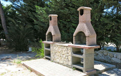 Vieste 612: Tree, Sculpture, Wood, Plant, Historic Site, Rock