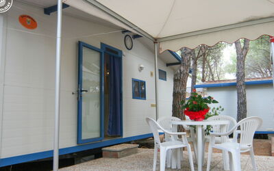 Vignola Mare 646