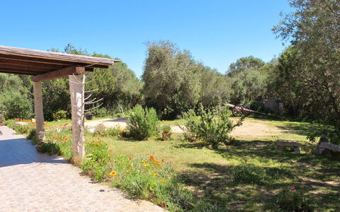 Stazzu Mendola: Property, Natural Landscape, Garden, Real Estate, Nature Reserve, Yard, Tree, Grass, Botany, Botanical Garden