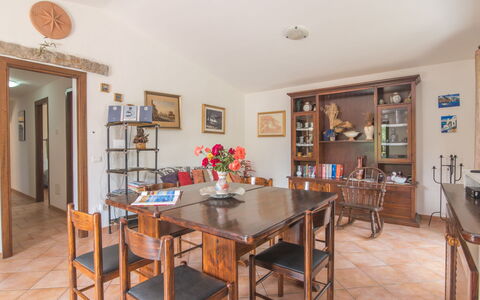 Stazzu Mendola: Table, Furniture, Property, Flower, Chair, Picture Frame, Houseplant, Shelf, Wood, Interior Design