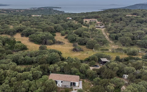 Stazzu Mendola: Sky, Plant, Plant Community, Ecoregion, Natural Landscape, Tree, Vegetation, Land Lot, House, Biome