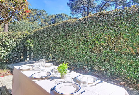 Les Jardins de Lacanau: Shrub, Hedge, Groundcover, Garden, Shade, Landscaping, Plantation, Evergreen