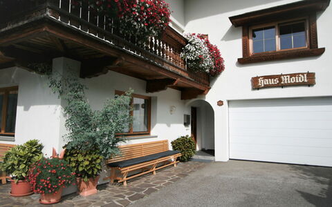 Moidl: Plant, Building, Window, Flowerpot, Houseplant, Door, Flower, House, Wood, Neighbourhood