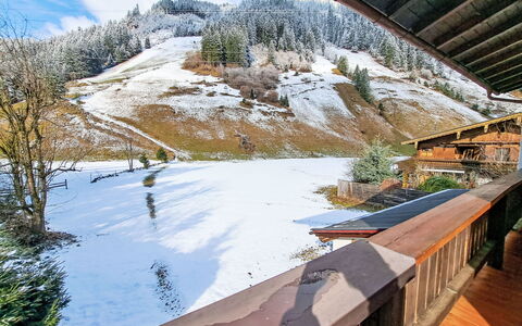 Babsi: Winter, House, Snow, Freezing, Slope, Cottage, Hill Station, Larch, Balcony, Mountain Village