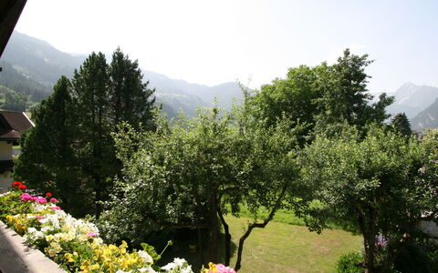 Klocker: Flower, Sky, Plant, Plant Community, Mountain, Green, Natural Landscape, Tree, Grass, Leisure