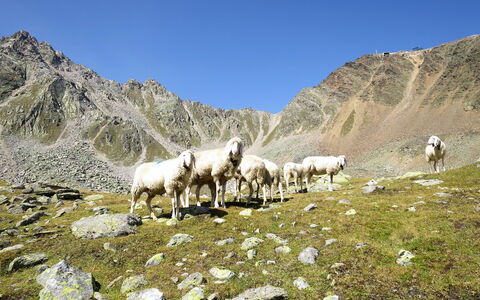 Pult: Mountain, Sky, Natural Landscape, Grassland, Slope, Mountain Range, Mountainous Landforms, Landscape, Grazing