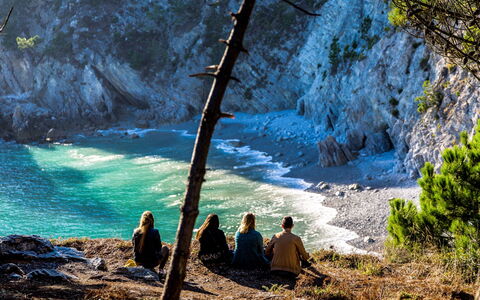 Le Vieux Chêne: Water, Plant, Azure, Branch, Natural Landscape, Wood, Sunlight, Trunk, Body Of Water, Watercourse